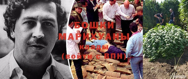 гашик Михайлов