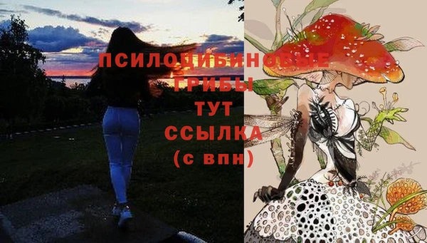 а пвп мука Апатиты