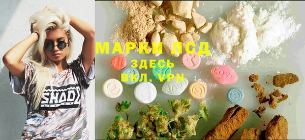 гашик Михайлов