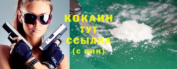 гашик Михайлов