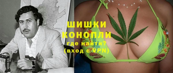 гашик Михайлов