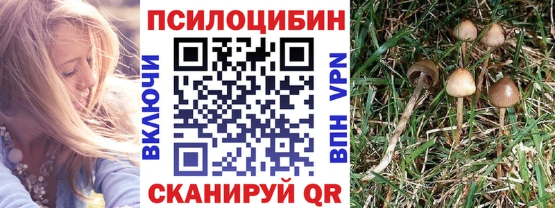 Галлюциногенные грибы Cubensis  Нахабино 